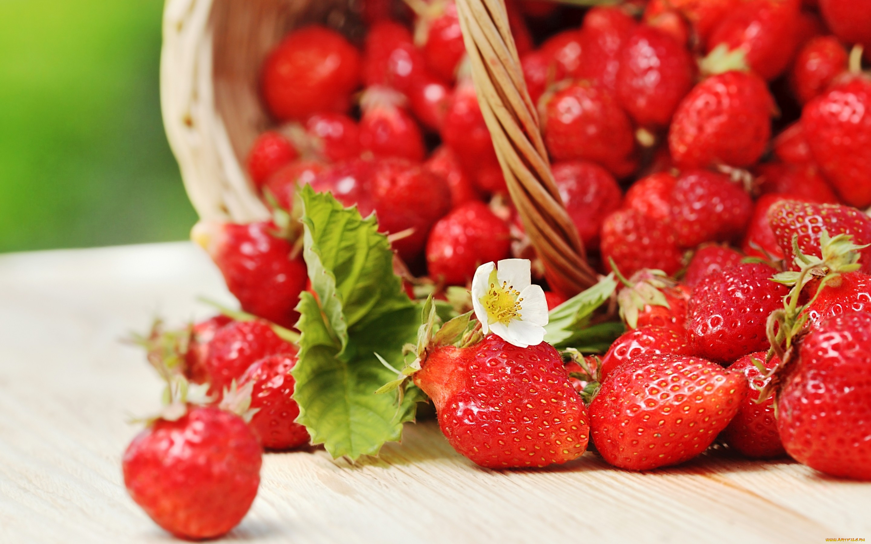 , ,  , , strawberry, , fresh, berries, , , 